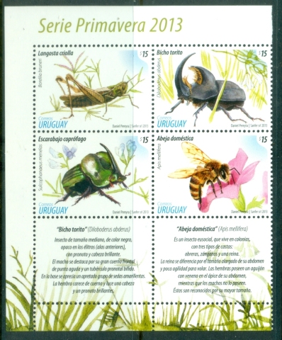 Uruguay-2013-Insects-MUH