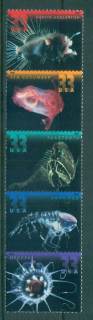 USA-2000-Sc3439-43-Deep-Sea-Creatures-Str-5-MUH-lot53670