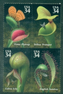 USA-2001-Carnivorous-Plants-MUH_2