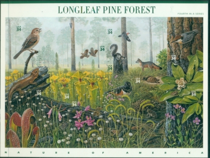 USA-2002-Nature-of-America-Beauty-of-Longleaf-Pine-Forest-Pane-MUH-XL-Shipping.jpg