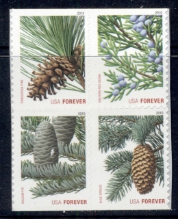 USA-2010-Fir-Trees-blk4-MUH