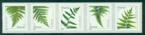 USA-2014-Flora-Ferns-Coil-strip-5