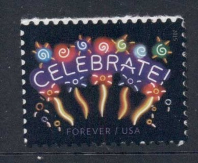 USA-2015-Celebrate-MUH