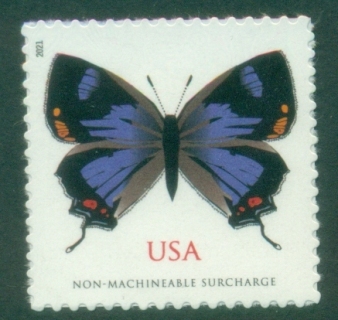USA-2021-Insects-Colorado-Hairstreak-MUH