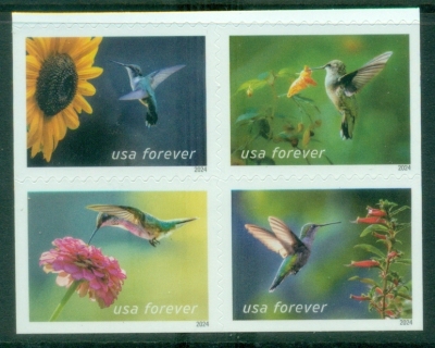 USA-2024-Garden-Delights-MUH
