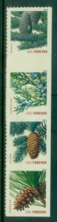 USA-2010-Pine-Cones-MUH.jpg