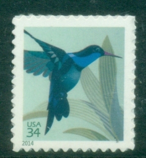 USA-2014-Birds-Hummingbird-MUH.jpg