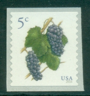 USA-2016-Grapes-MUH.jpg