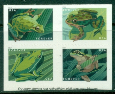 USA-2019-Fauna-Frogs-MUH.jpg