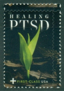 USA-2019-Healing-PTSD-Post-Traumatic-Stress-Disorder-MUH