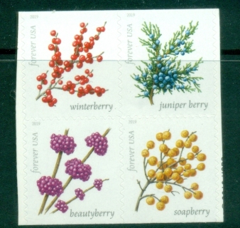 USA-2019-Winter-Berries-MUH.jpg