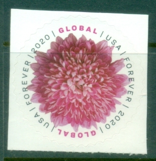USA-2020-Flowers-Chrysanthemum-MUH