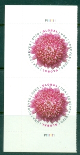 USA-2020-Flowers-Chrysanthemum-pair-MUH