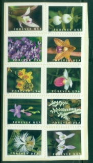 USA-2020-Flowers-Wild-Orchids-MUH.jpg