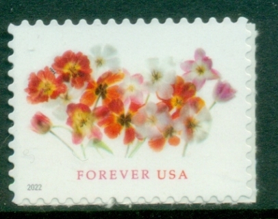 USA-2022-Flowers-MUH.jpg
