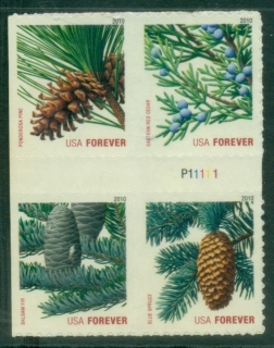 USA-2010-Pines-MUH_2