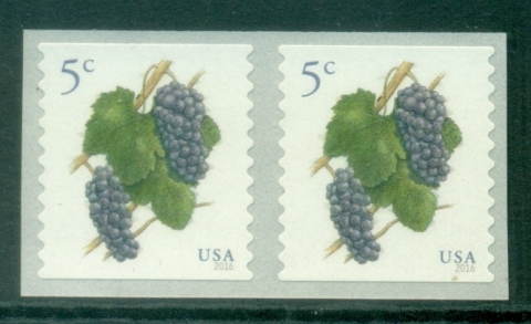 USA-2016-Grapes-pair-MUH.jpg