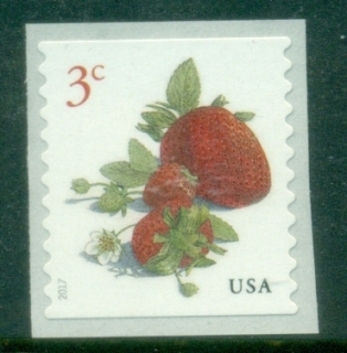 USA-2017-Definitive-Strawberries-MUH.jpg