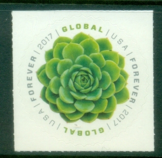 USA-2017-Green-Succulent-Global-MUH.jpg