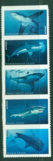 USA-2017-Marine-Life-Sharks-MUH.jpg