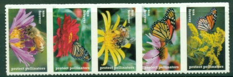 USA-2017-Protected-Pollinators-Flowers-MUH.jpg