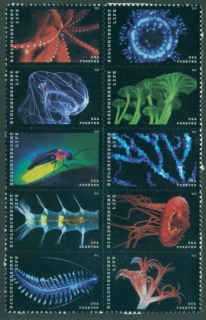 USA-2018-Bioluminescent-Life-MUH