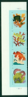 USA-2019-Coral-Reefs-MUH_2.jpg