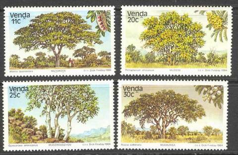 Venda-1984-Trees-MUH-Lot14858