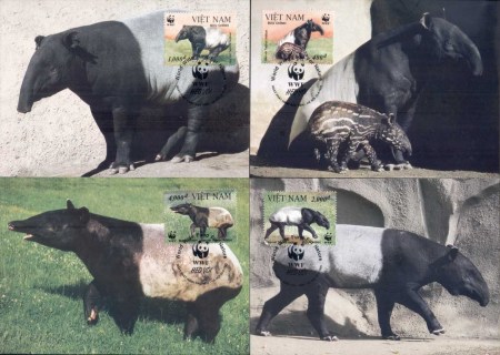 Vietnam-1995 WWF Asiatic Tapir Maxicards