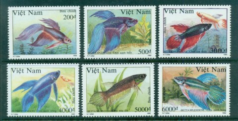 Vietnam-1992-Beta-Splendens