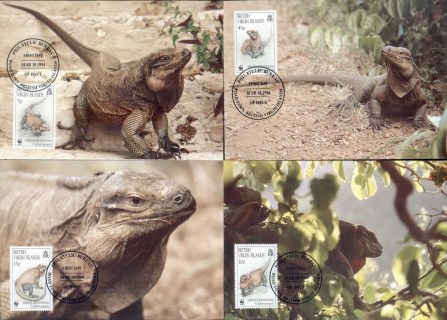 Virgin-is-1994 WWF Anegada Ground Iguana FDC