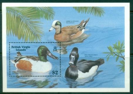 Virgin-Is-1988-Birds-Northern-Shoveller-MS-MLH