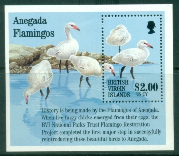 Virgin-Is-1995-Birds-Greater-Flamingo-MS-MUH