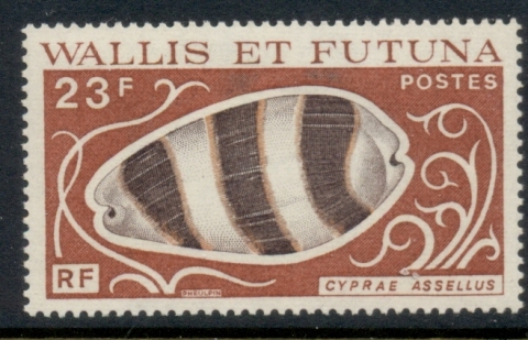 Wallis-Futuna-1976 Seashells 23f