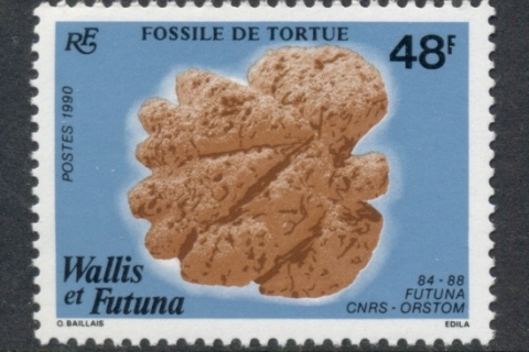 Wallis-Futuna-1990 Fossilized Tortoise