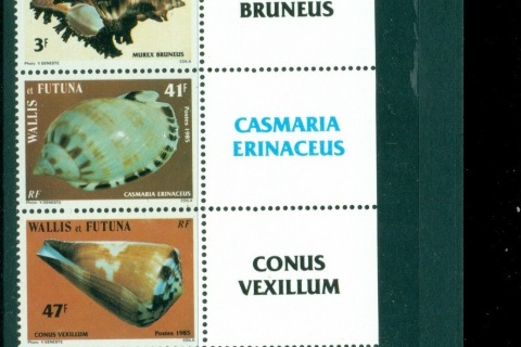 Wallis-Futuna-1985 Marine Life, Seashells