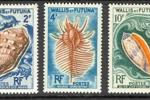 Wallis-Futuna-1962 Shells