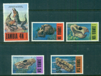 Zambia-1973-Fossils-from-Luangwa-Area-MLH