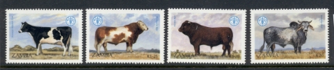 Zambia-1987-Cattle-MUH