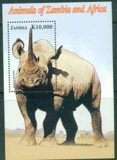 Zambia-2005-Animals-of-Zambia-and-Africa-Rhinoceros-MS-MUH