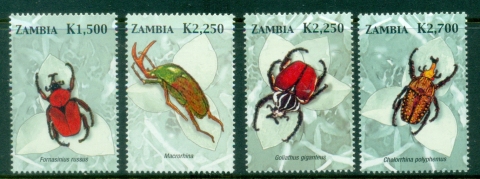 Zambia-2005-Insects-Beetles-MUH