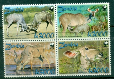 Zambia-2008-WWF-Greater-Kudu-MUH