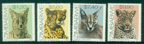 Zimbabwe-1999-Wild-Cats-MUH