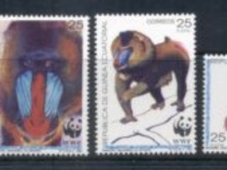Equatorial-Guinea-1991 WWF Mandrill