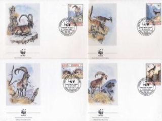 Ethiopia-1990 WWF Walia Ibex FDC