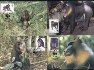 EquatorialxGuinea-1991 WWF Mandrill Maxicard
