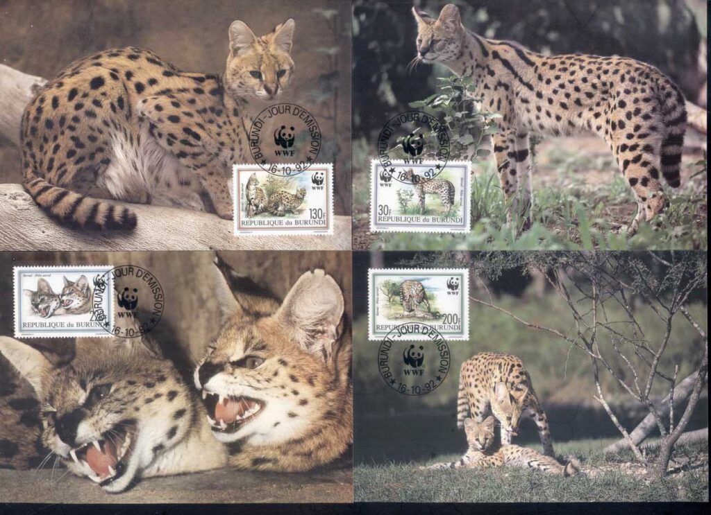 Burundi-1992 WWF Serval Maxicards