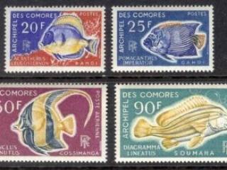 Comoro Is 1968 Fish