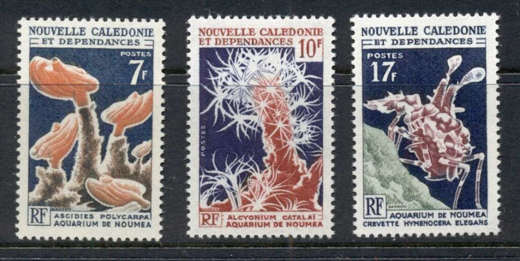 New-Caledonia-1964 Marine Life