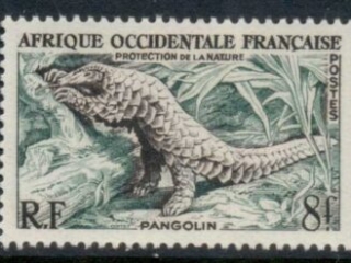 French West Africa 1955 Giant Pangolin